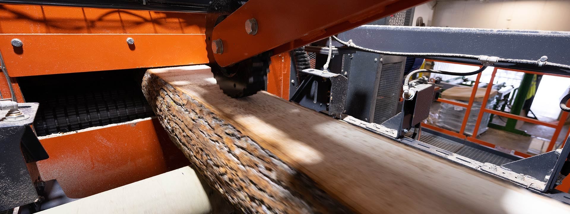Nelson Wood Shims Installs Wood-Mizer Sawmill System to Drive Productivity